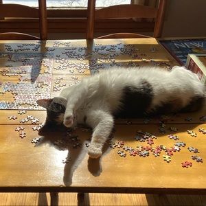 Meet your Posher, Sam